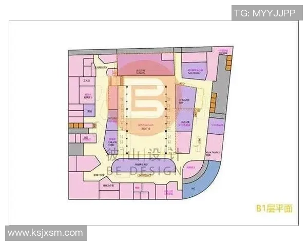 南京与上海排球队的耐力较量赛后深度分析与复盘